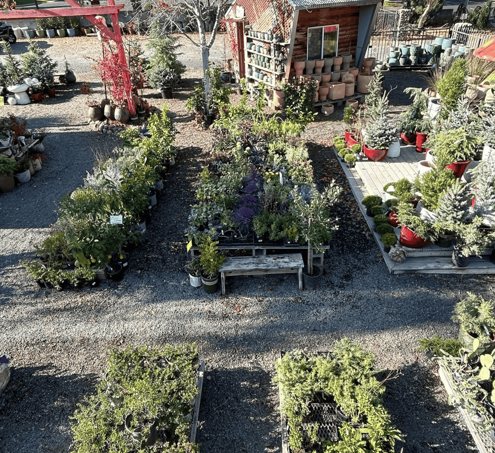 Vibrant garden center with potted plants and outdoor decor, ideal for landscaping and home gardening.