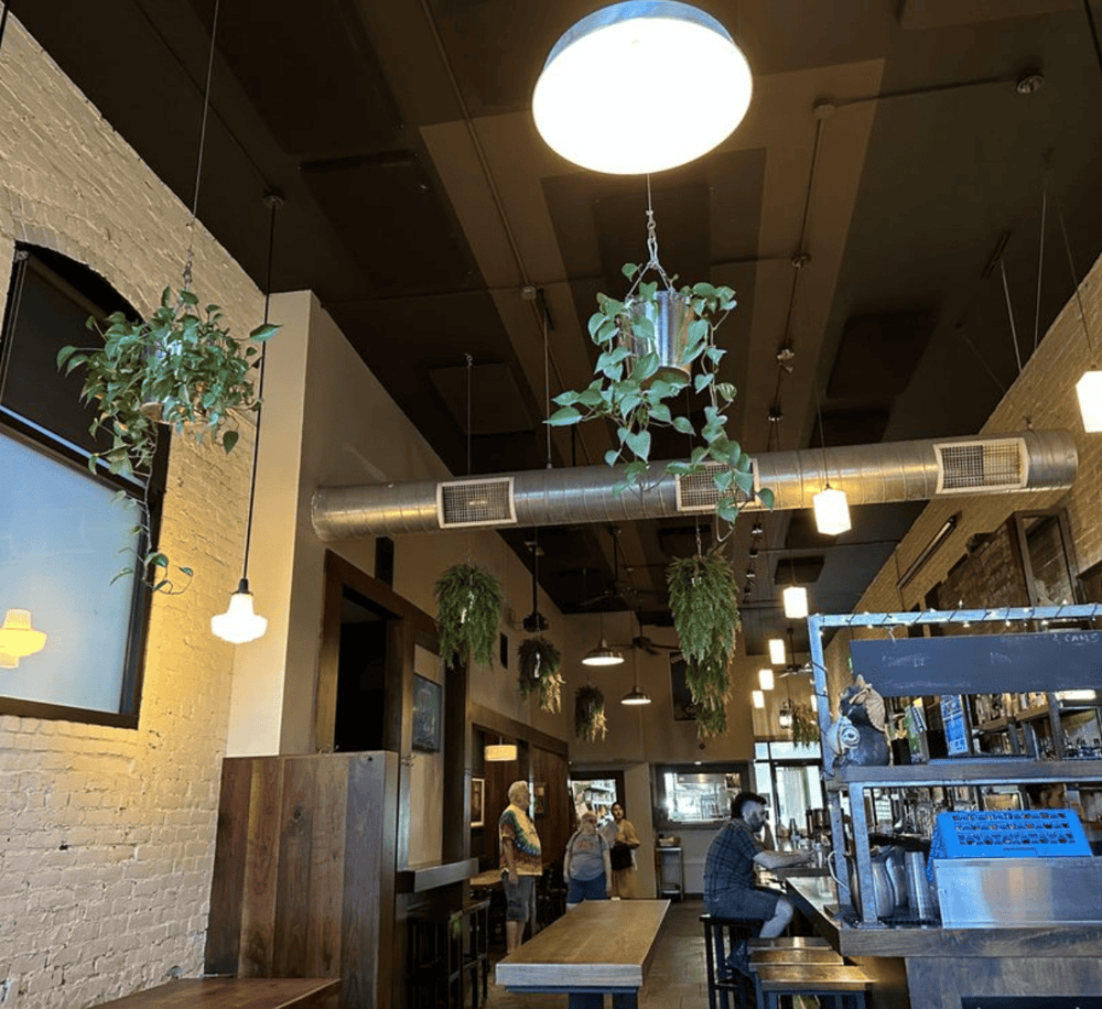 Warm cozy cafe interior with hanging plants and modern industrial decor, perfect for relaxed dining.