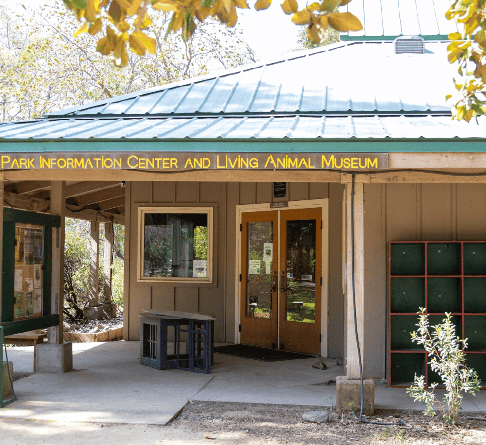 Accessible park information center and animal museum at Quest for Directions.