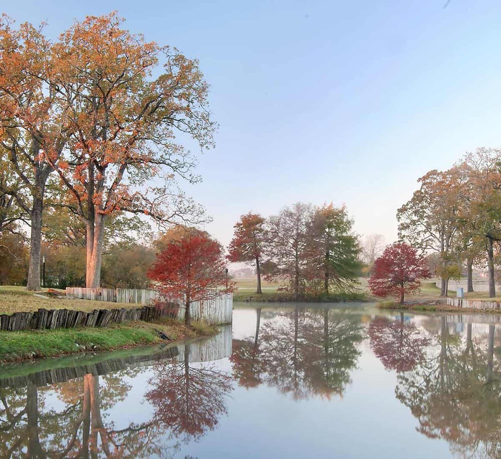 Tranquil autumn scene with colorful trees reflecting in a calm pond, perfect for outdoor relaxation and nature photography.