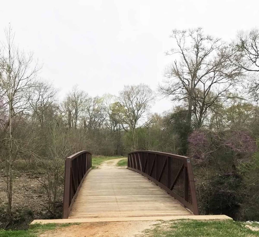 Quiet nature trail with wooden bridge, perfect for outdoor exploration and scenic walking.