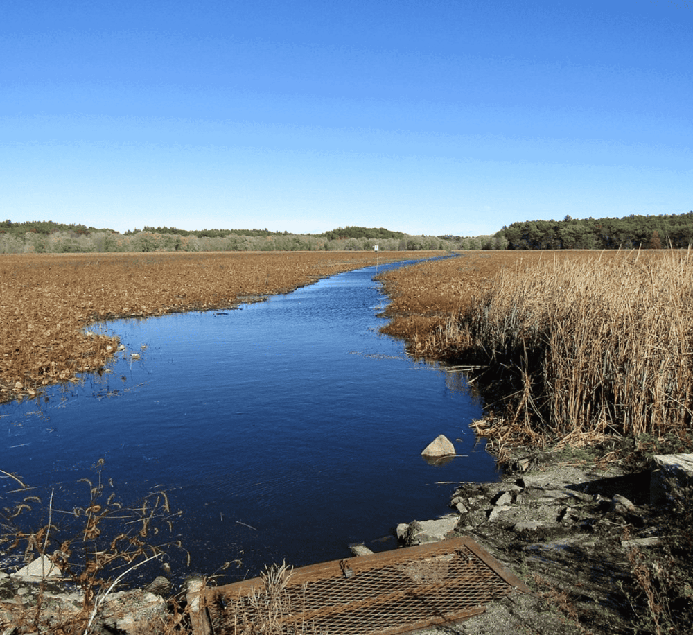 Serene wetland with calm waterway surrounded by fields and trees, ideal for nature exploration.