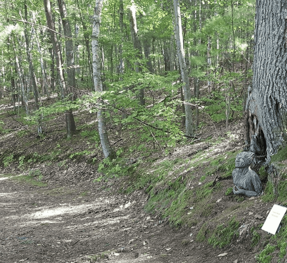 Lush green forest trail with wooden sculptures and informational plaque, perfect for nature exploration and outdoor adventures.