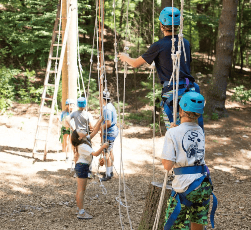 1. Kids enjoying outdoor ropes course adventure in forest.