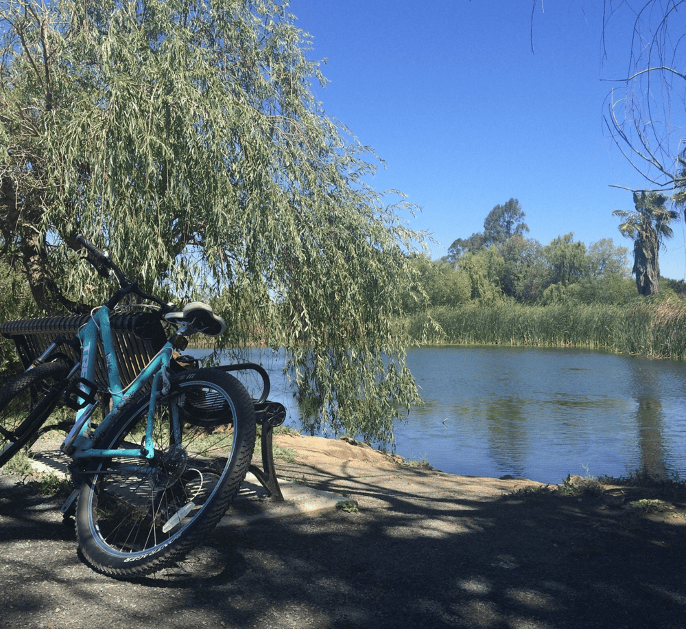 Serene riverside biking spot surrounded by lush greenery and clear blue skies.