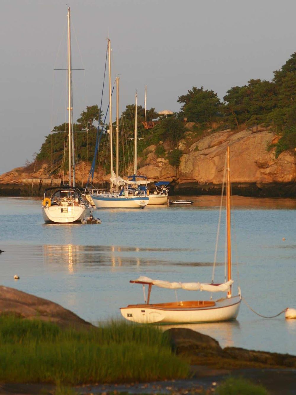 Sailboats at sunset in a calm harbor with rocky shoreline, scenic waterfront views, and lush greenery.