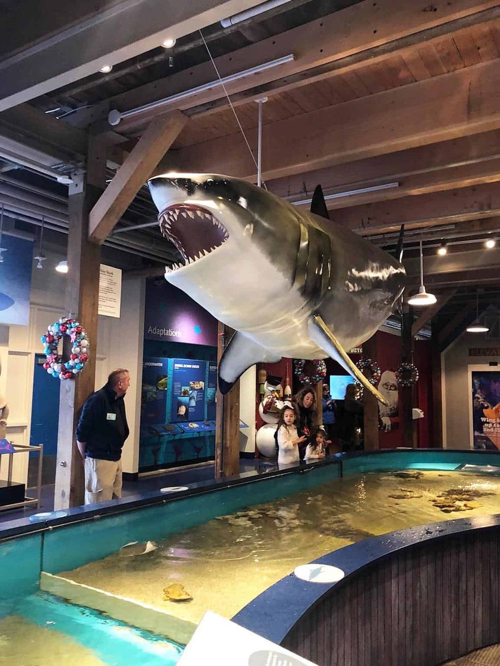 1. Large shark model exhibit at Quest for Directions aquatic museum.