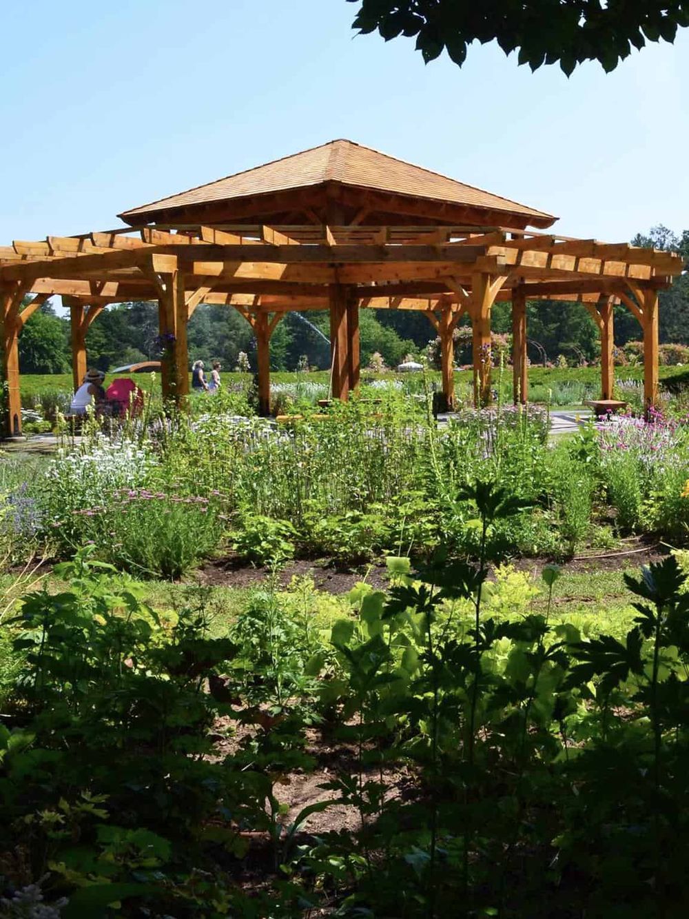 Beautiful wooden gazebo in a lush garden setting with people enjoying the outdoor space.
