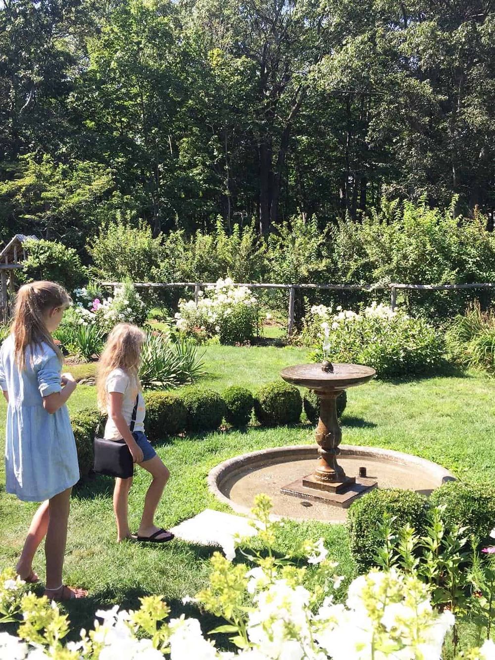 Serene garden with children exploring nature, lush greenery, and a decorative birdbath fountain. Perfect for outdoor family activities and relaxation.