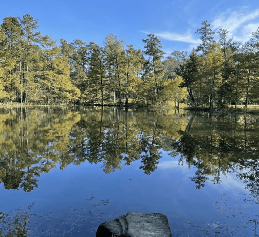 Tranquil lake with trees reflection, scenic outdoor nature photo for directions and exploration.