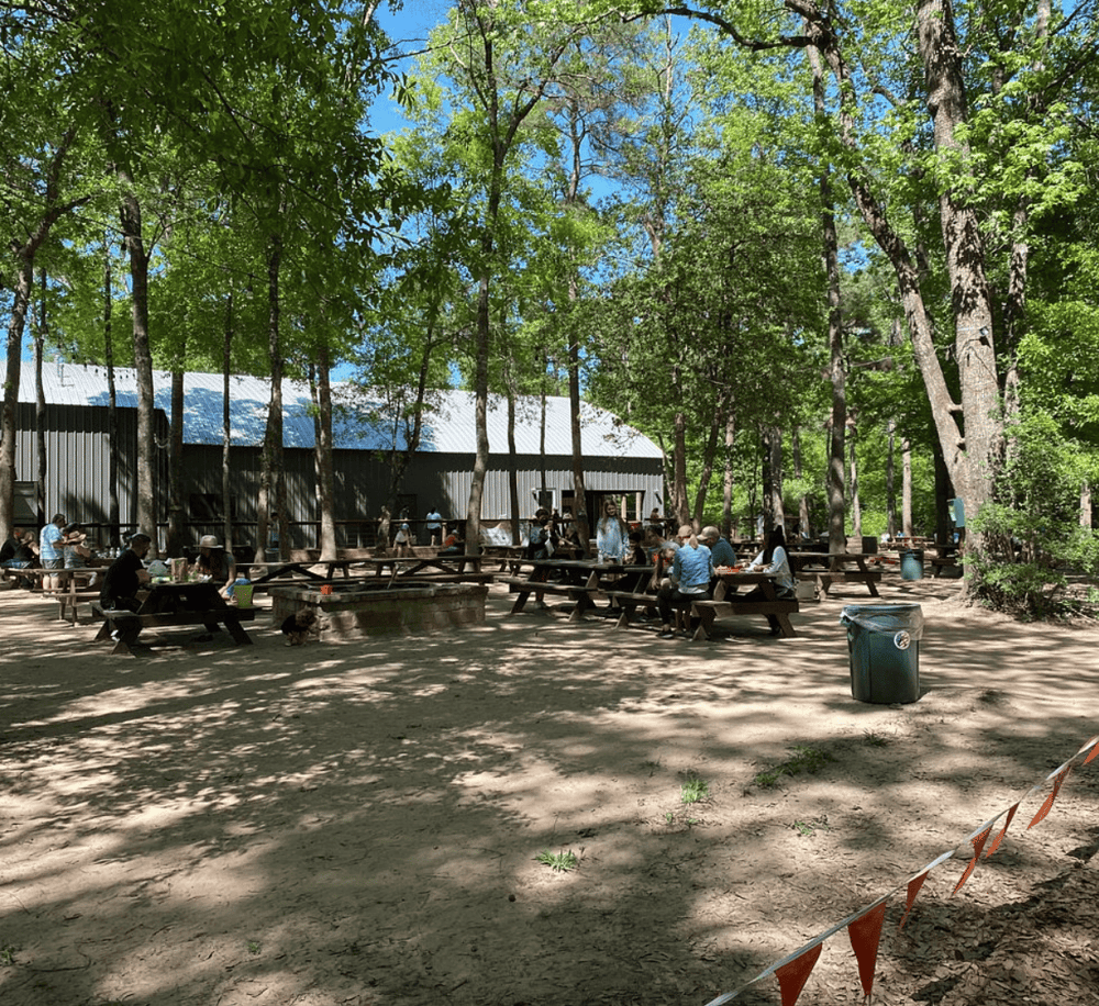 Outdoor picnic area at QuestForDirections, surrounded by tall trees and nature.