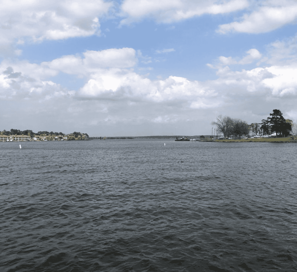 Tranquil water scene with residential neighborhood and trees under cloudy sky.