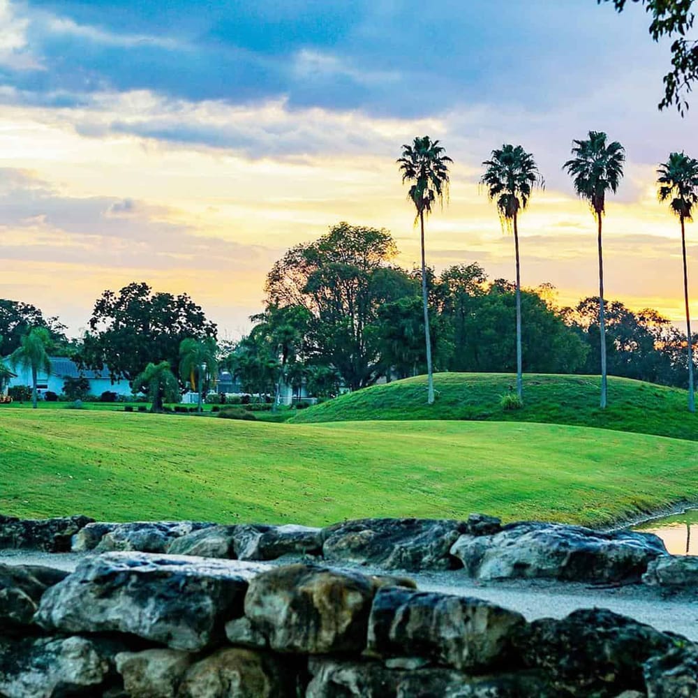 Lush golf course with palm trees at sunset, ideal for outdoor recreation and scenic views.