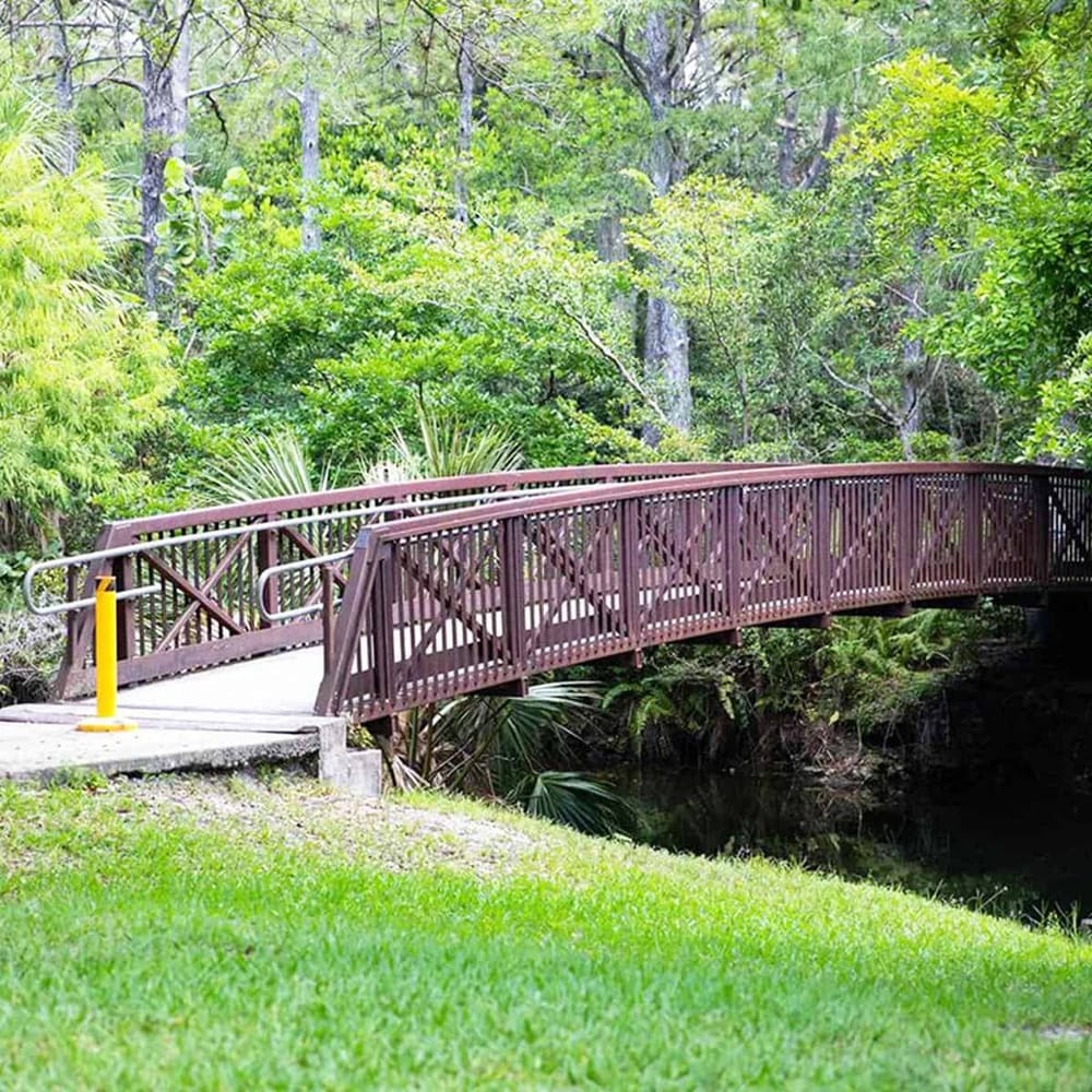 Forest trail bridge in lush green park, scenic nature walk, outdoor hiking path, and scenic nature trail.