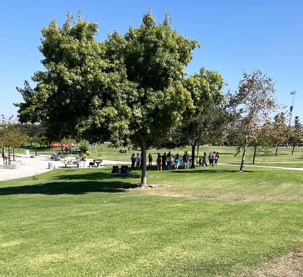 Vibrant park scene with large trees, green lawns, and people gathering outdoors on a sunny day.