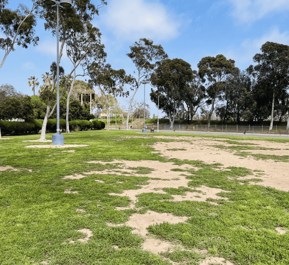 Open park with grassy area, trees, and lamp posts, ideal for outdoor activities and relaxation.