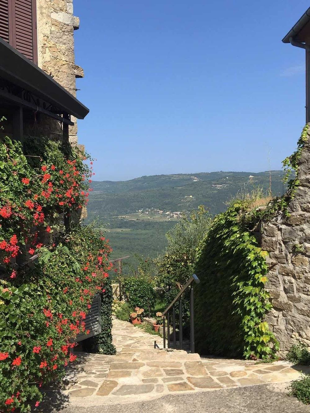 Charming hillside path with flowers and scenic mountain view in Italy.