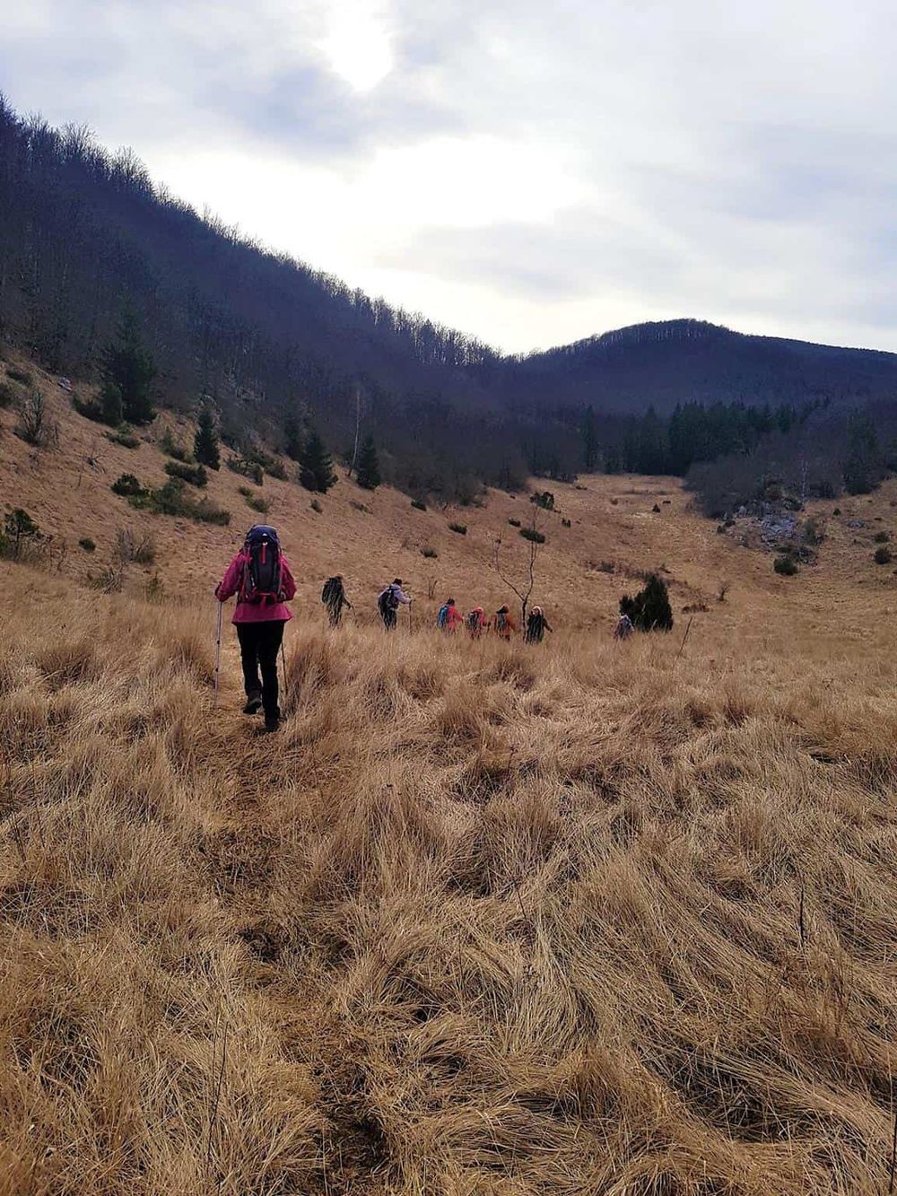 Hiking trail in scenic mountain landscape with hikers in adventure gear.