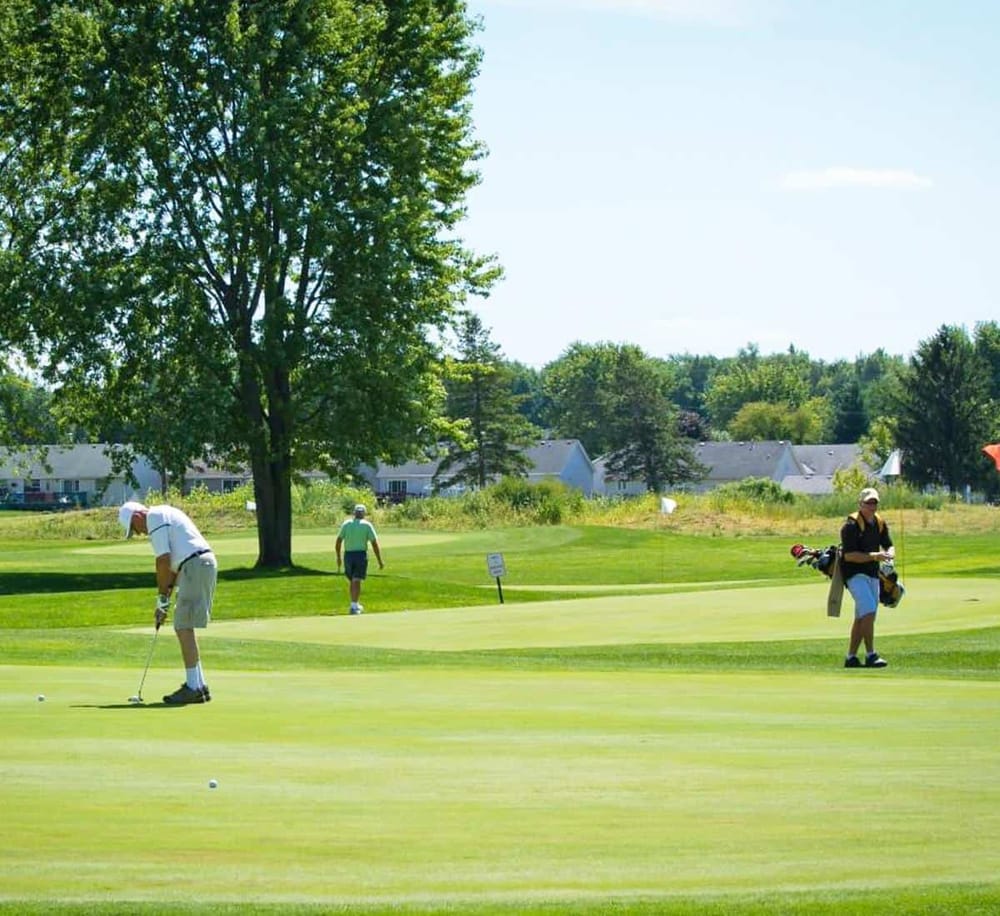 Well-maintained golf course with players practicing putting under a clear blue sky.
