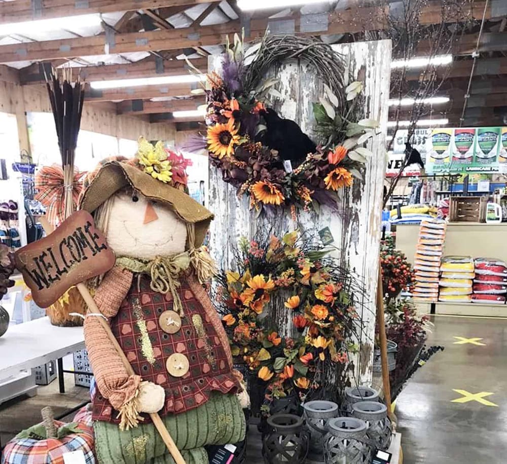 Colorful fall-themed wreaths and harvest decor at QuestForDirections seasonal display.