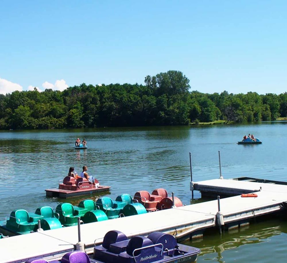 Relaxing paddle boat rides on a scenic lake with lush green trees and pedal boats at the dock.