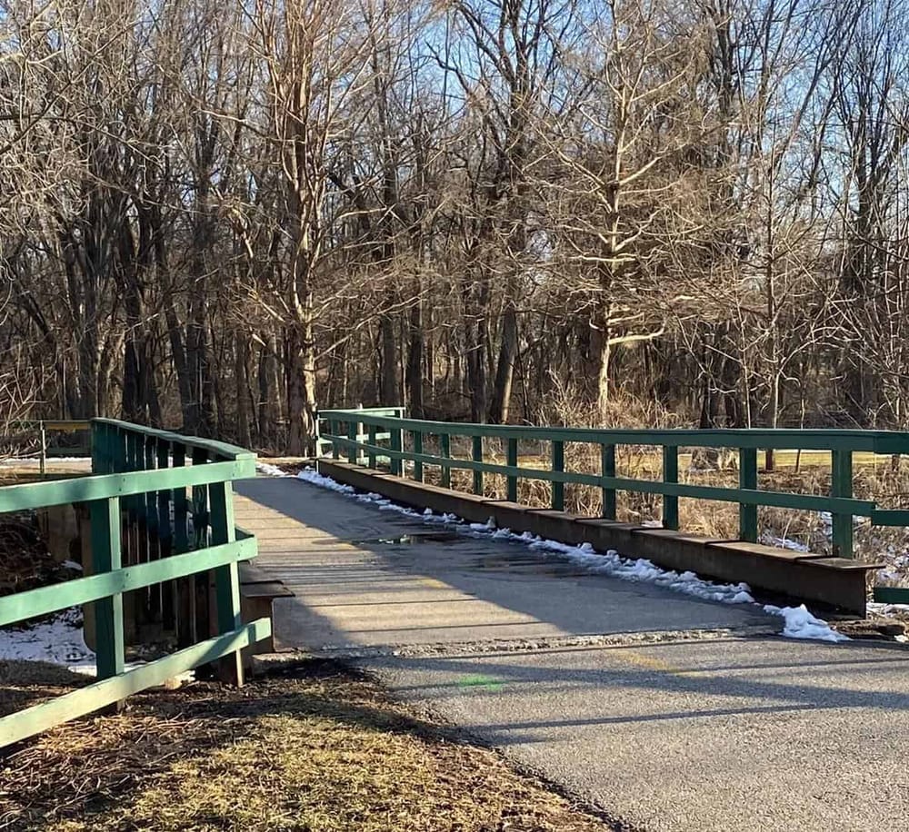 Quiet park walking bridge with snow, bare trees, nature, outdoor trail, scenic, peaceful, outdoor recreation, winter landscape.