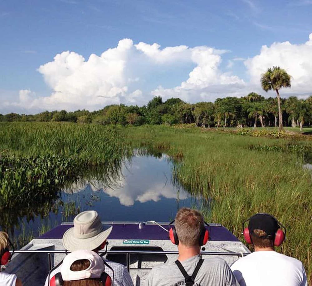 Serene boat tour through lush wetlands with nature guides, offering eco-tourism and outdoor adventure experiences.