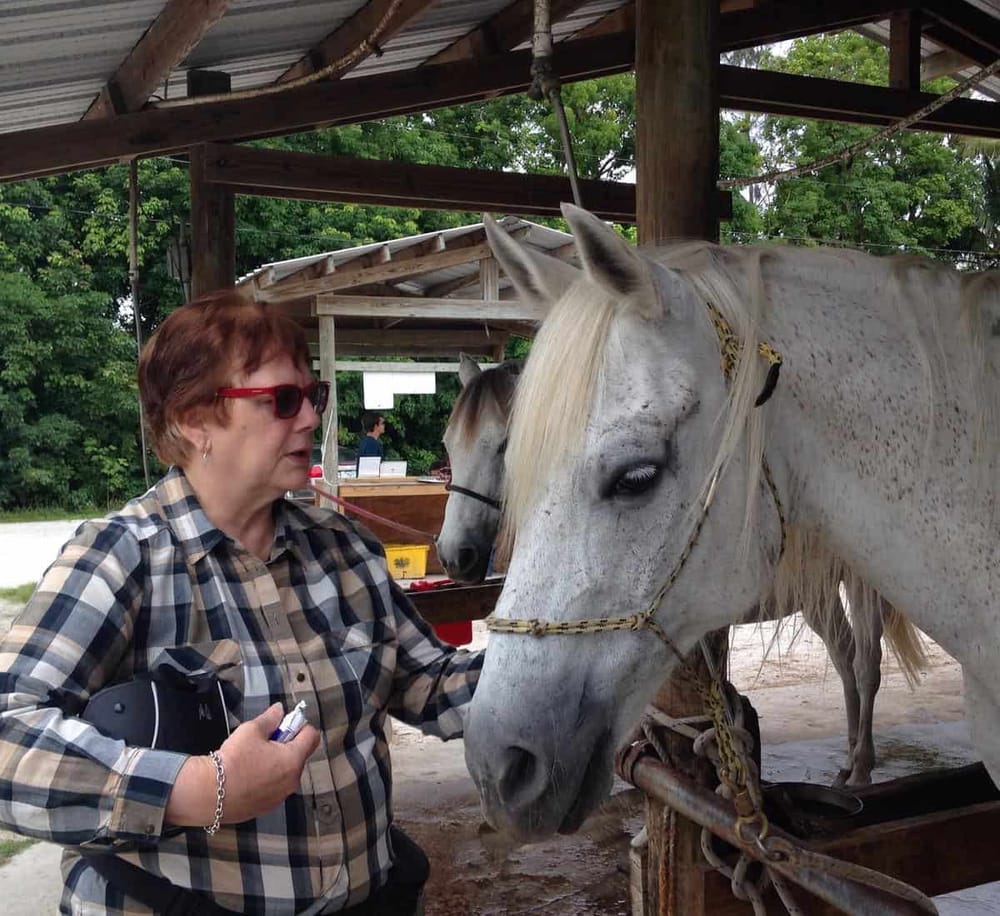 1. Woman with red sunglasses interacts with a white horse at a rustic farm stable.