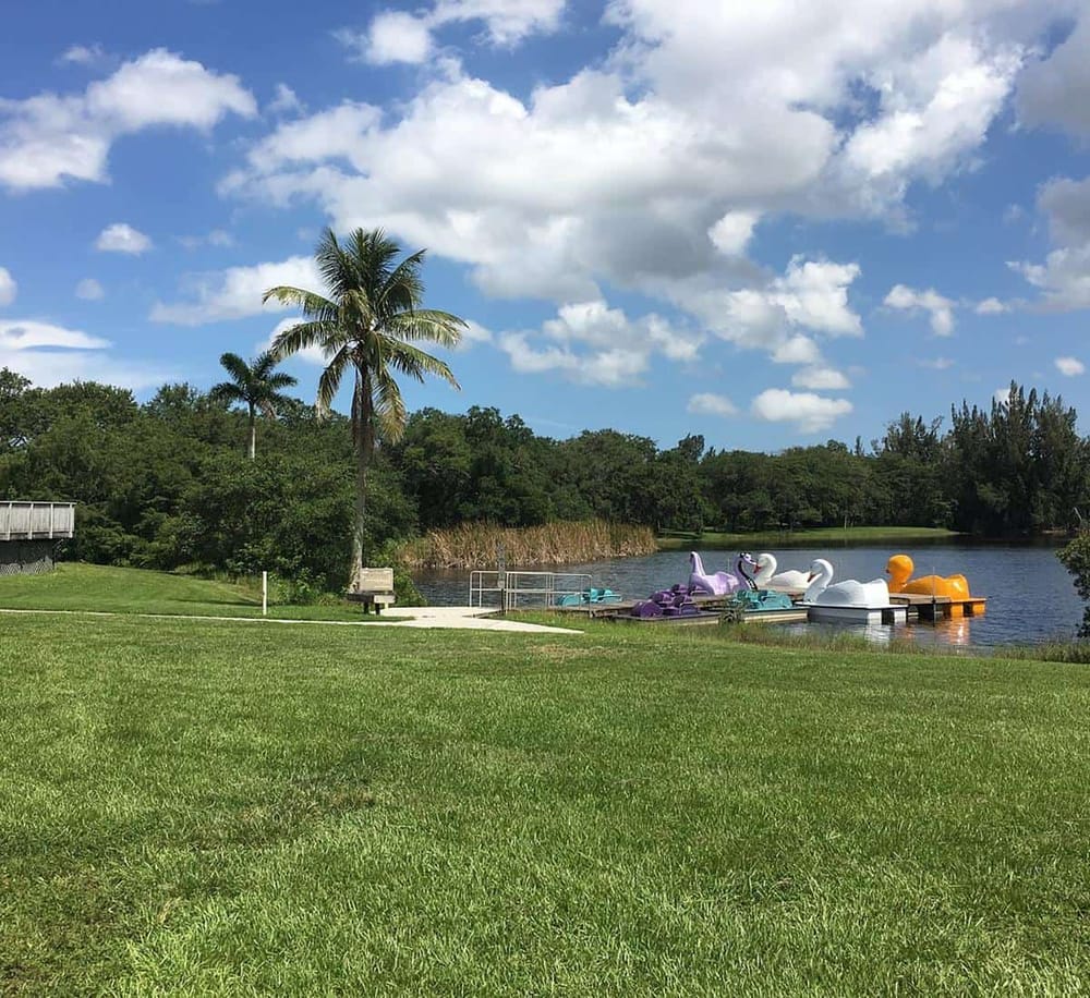 Colorful swan paddle boats on a lake with lush greenery and a tall palm tree under a partly cloudy sky.