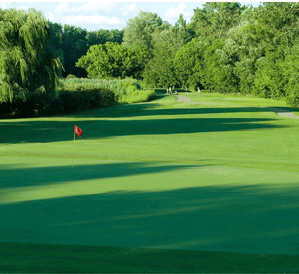 Lush golf course with green fairways, surrounded by trees and blue sky, ideal for golf enthusiasts.