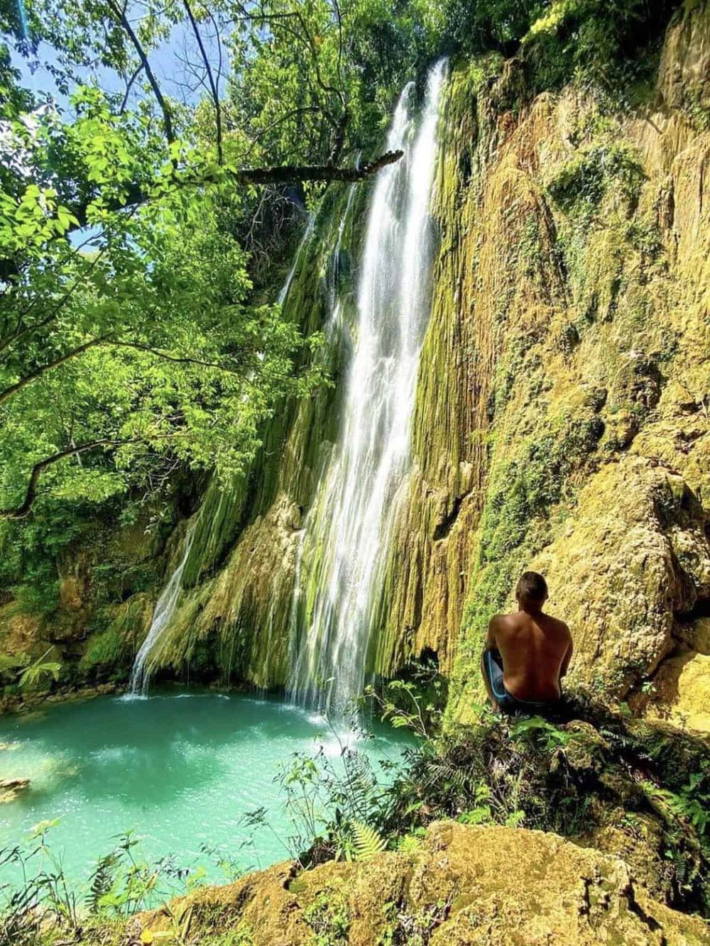 Serene waterfall in lush green forest with turquoise pool, perfect for nature adventures and exploring outdoor scenery.