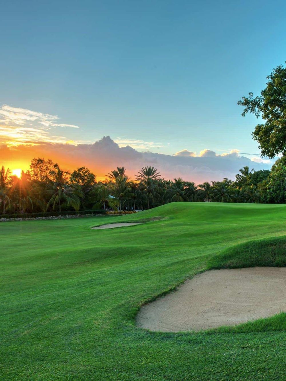 Lush green golf course at sunset with palm trees and colorful sky, perfect for golf and outdoor recreation.