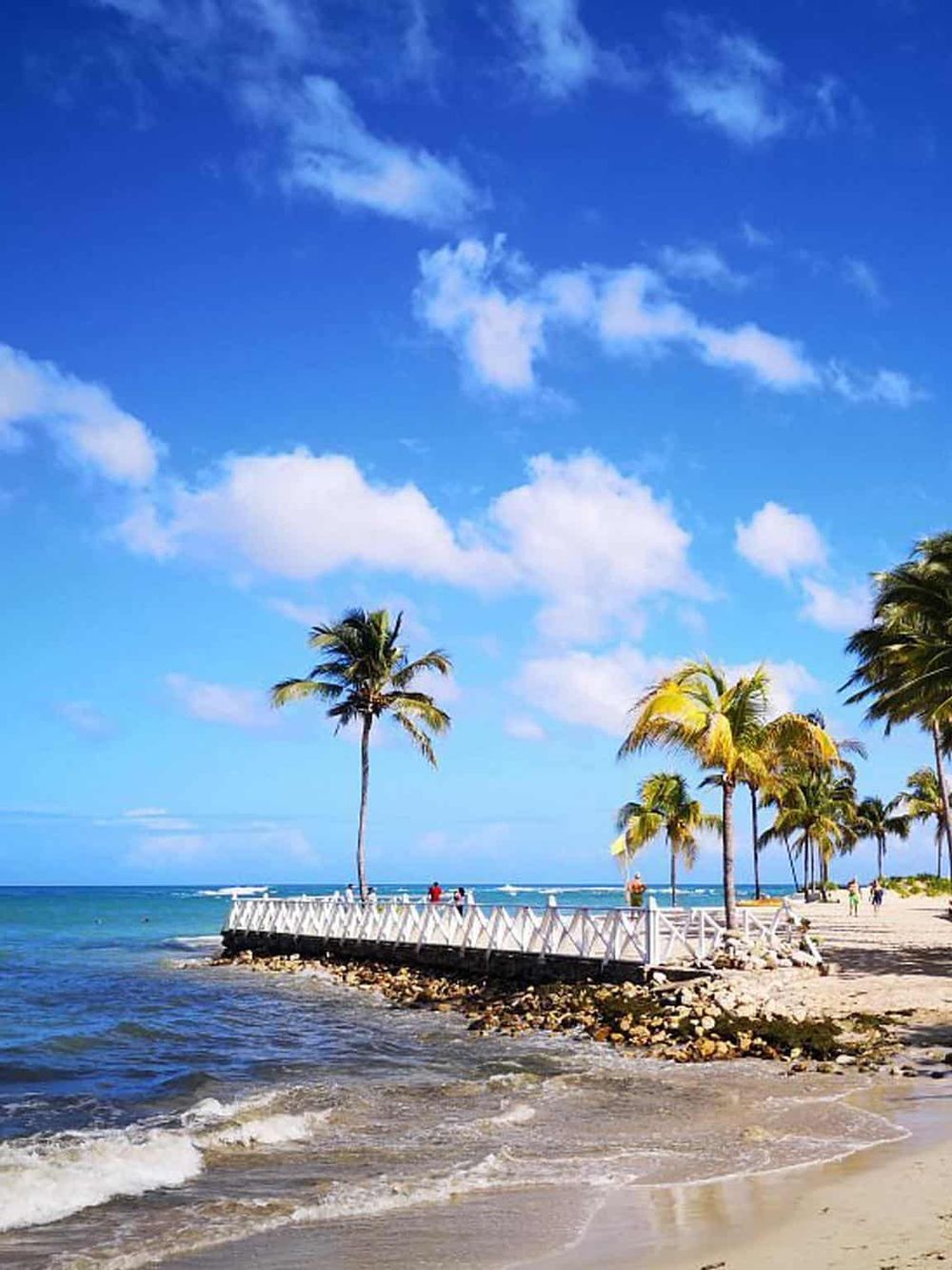 Stunning beach scene with palm trees, blue sky, and ocean waves at a tropical seaside destination.