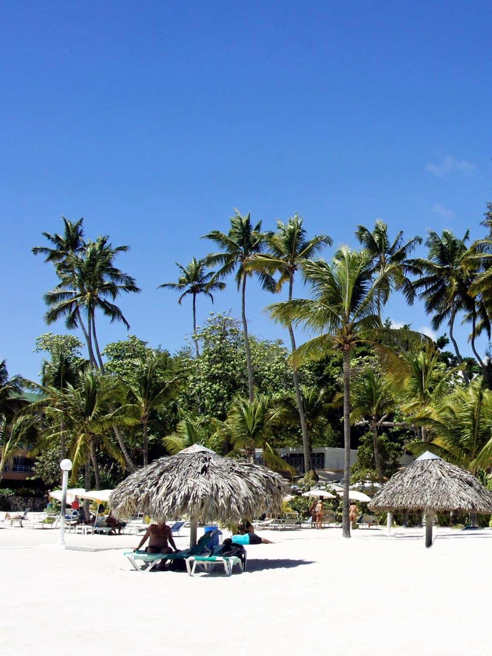Tropical beach with palm trees, straw umbrellas, and relaxing sunbathers under clear blue sky.