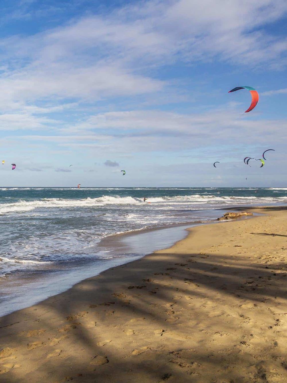 Colorful kitesurfing on a beach with sandy shores and ocean waves, perfect for adventure and water sport enthusiasts.