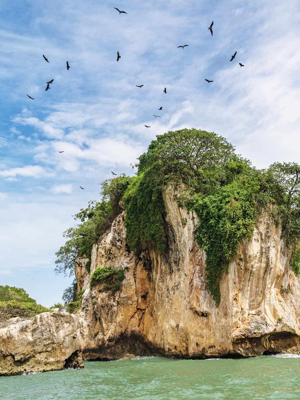 Vivid image of a lush green island with rocky cliffs, birds flying above, and turquoise waters, perfect for travel and adventure enthusiasts.