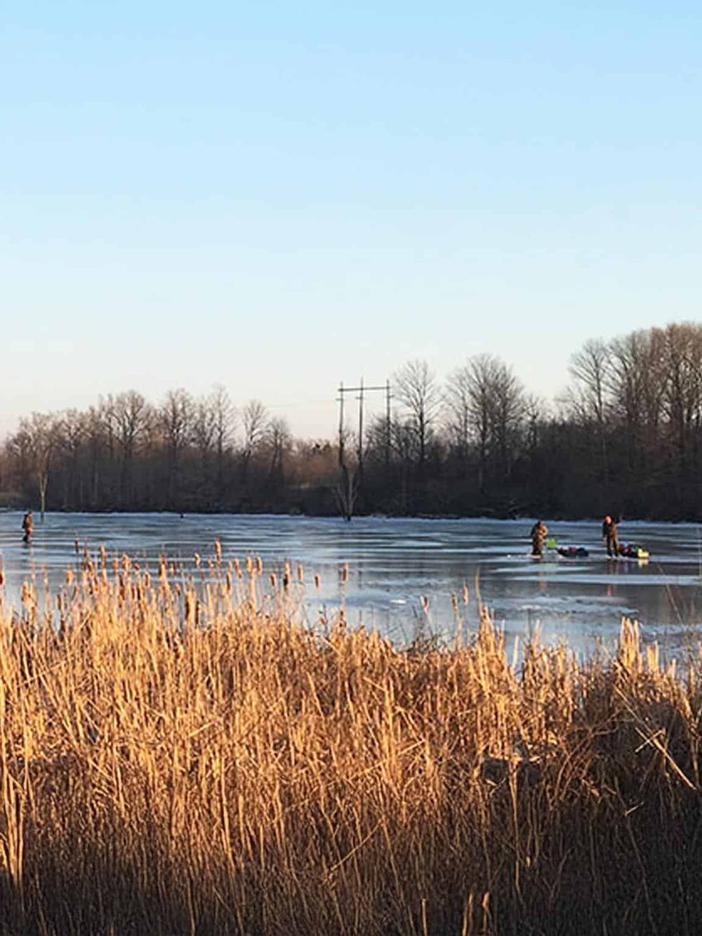 Frozen river with people ice skating, surrounded by bare trees and tall golden reeds in winter.
