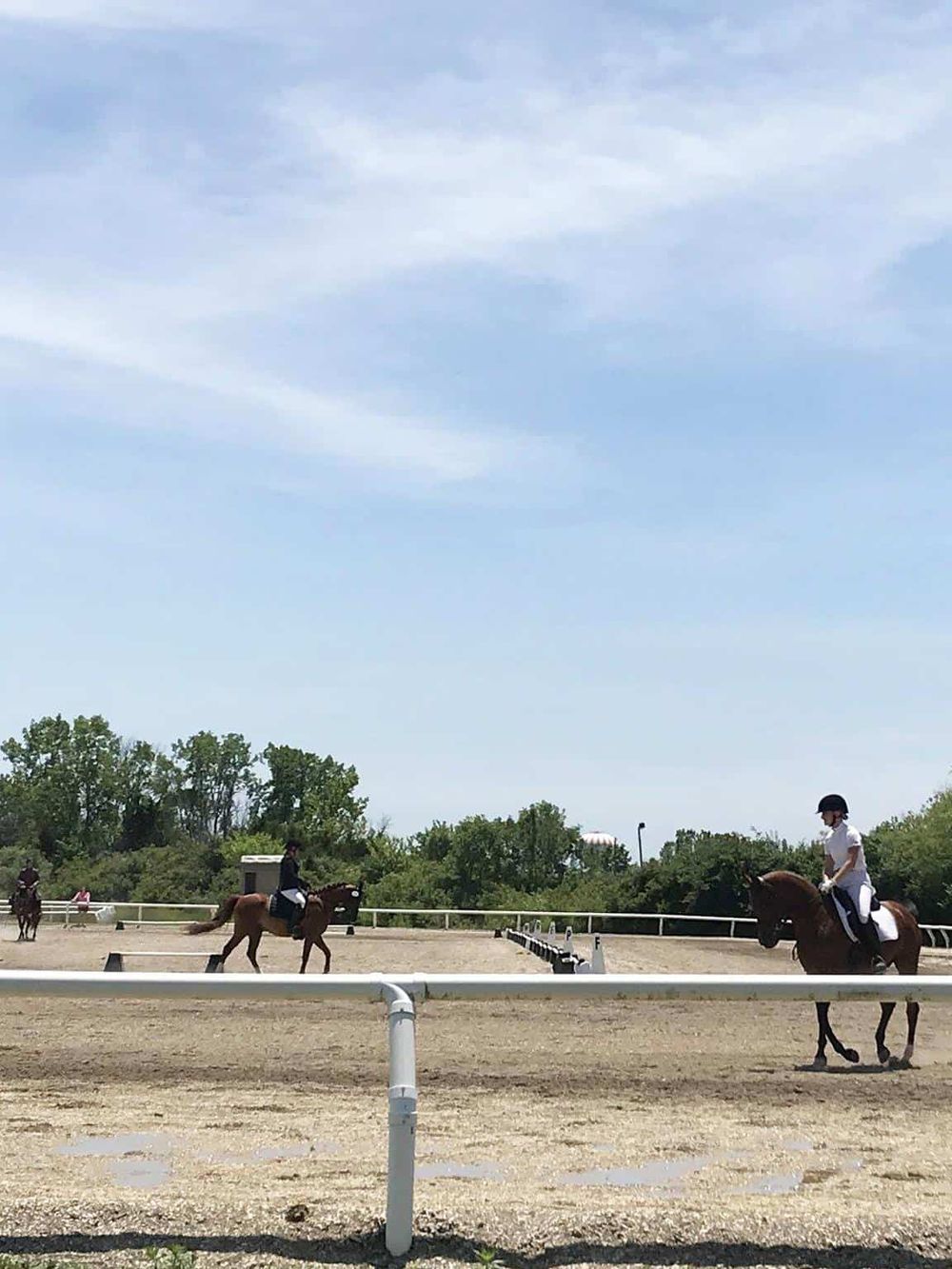 1. Equine riding school with riders training on horses outdoors under a blue sky.