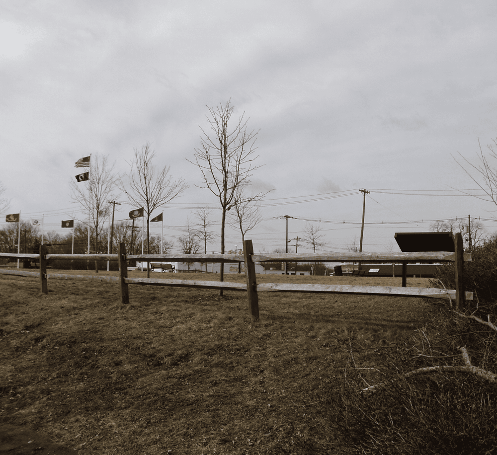 Overcast park scene with leafless trees, flags, and wooden fence, showcasing directional signage at QuestForDirections.