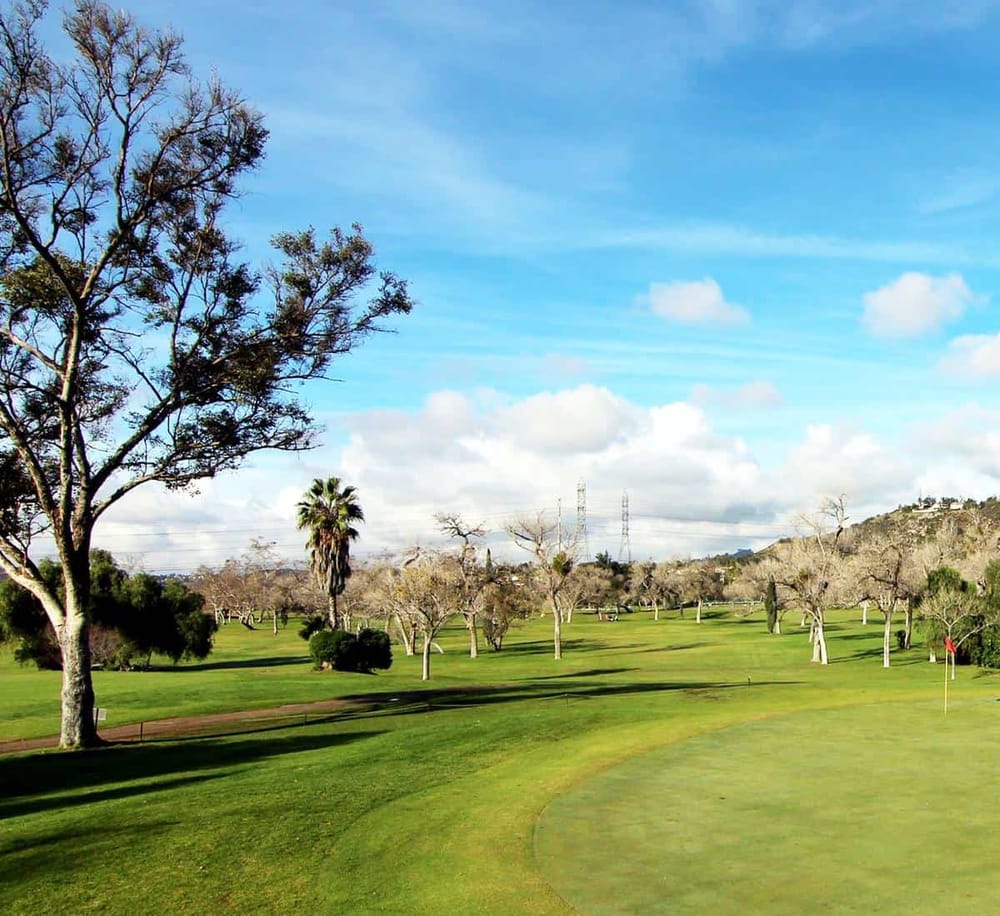 Lush green golf course with trees and blue sky, ideal for outdoor recreation and sports.