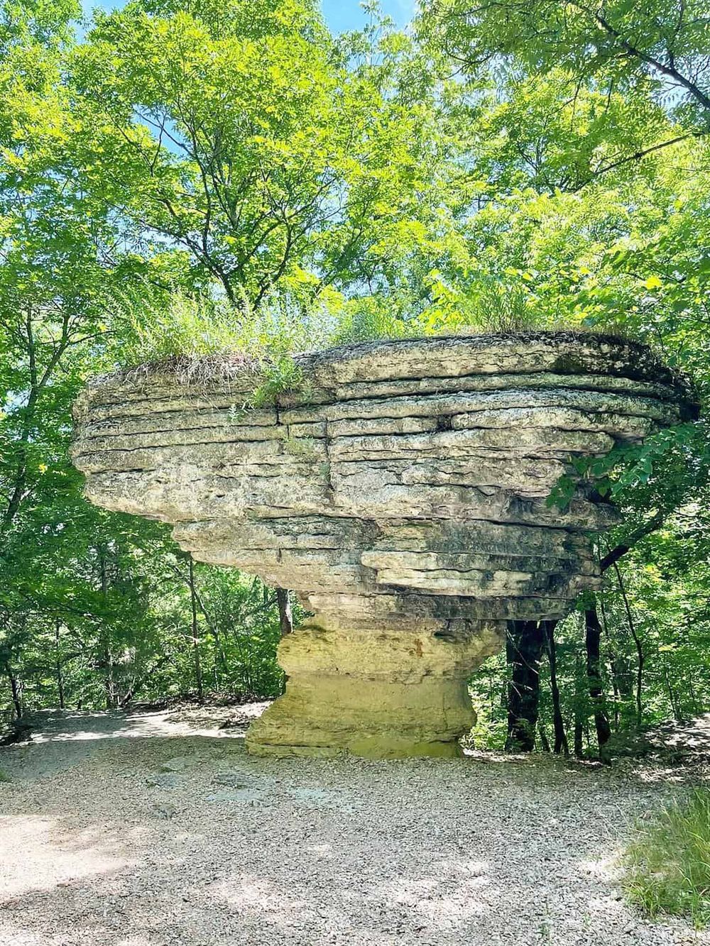 Unique rock formation in a lush green forest, ideal for outdoor exploration and nature walks.