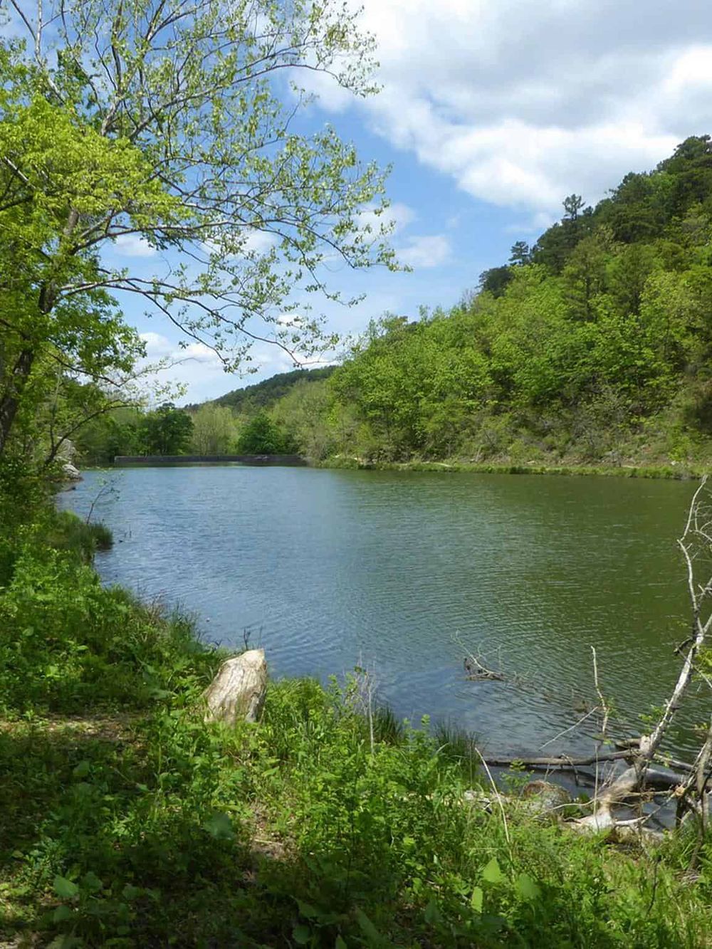 Serene river landscape with lush greenery, blue sky, and mountains, ideal for outdoor adventures and nature exploration.