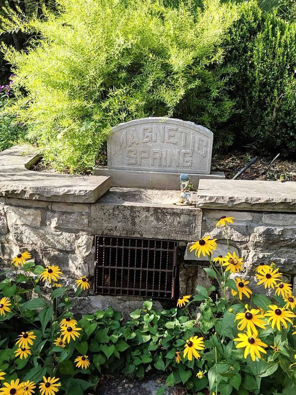 Colorful garden with a stone sign reading "Magnetic Spring" and vibrant yellow flowers, lush greenery surrounds the scenic outdoor space.