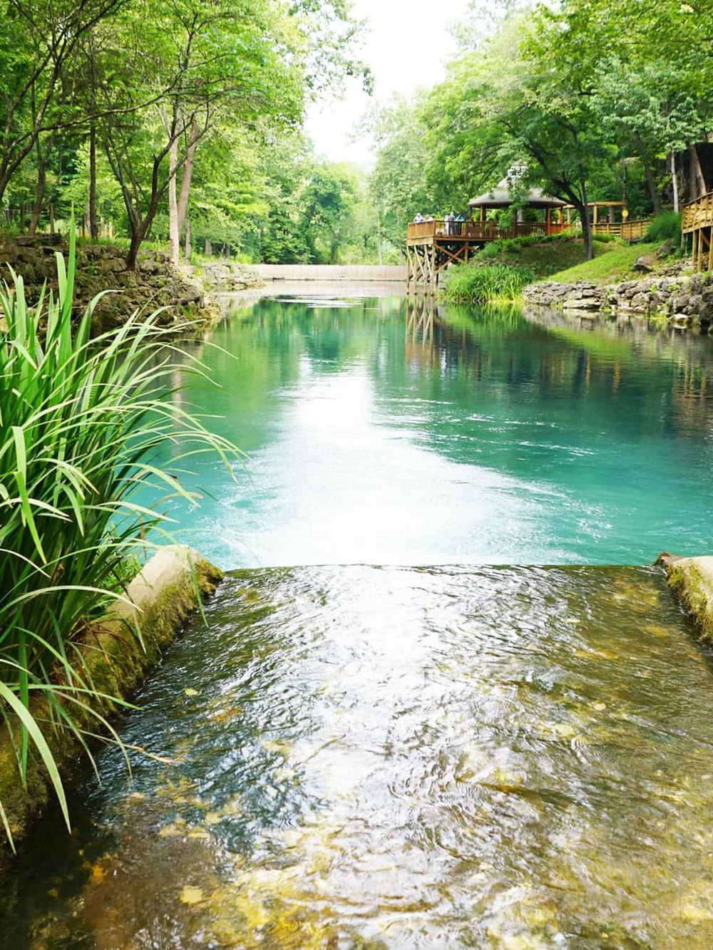 Serene river view with lush green trees, wooden walkways, and a peaceful park setting.