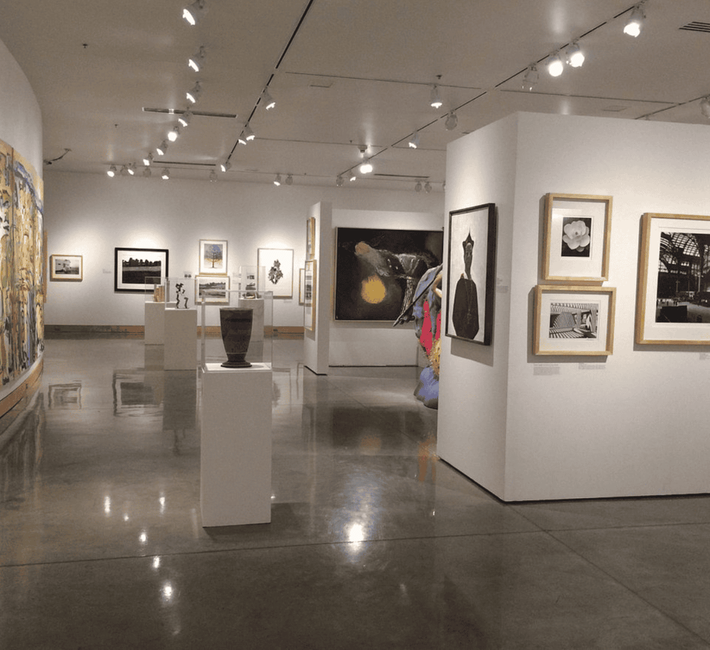 Colorful contemporary art gallery showcasing paintings, sculptures, and framed photographs in a modern museum.