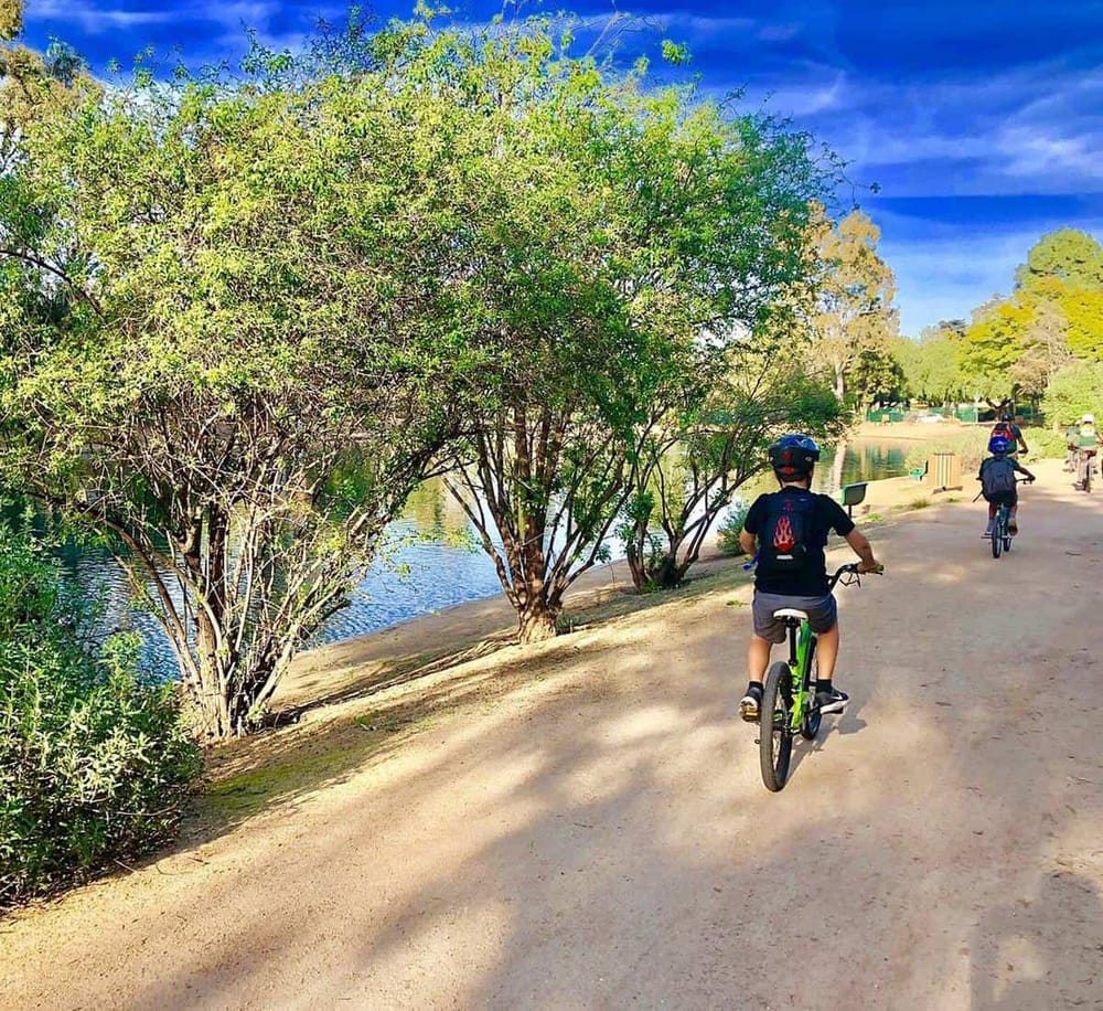 Kids riding bikes along a scenic trail by a river in a lush, green park. Perfect outdoor activity for family fun and exploration.