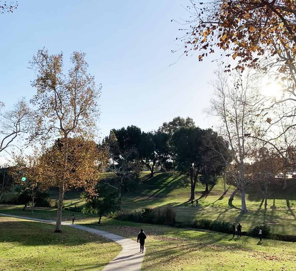 Vibrant park scene with walking paths, trees, and sunlight, ideal for outdoor recreation and nature exploration.