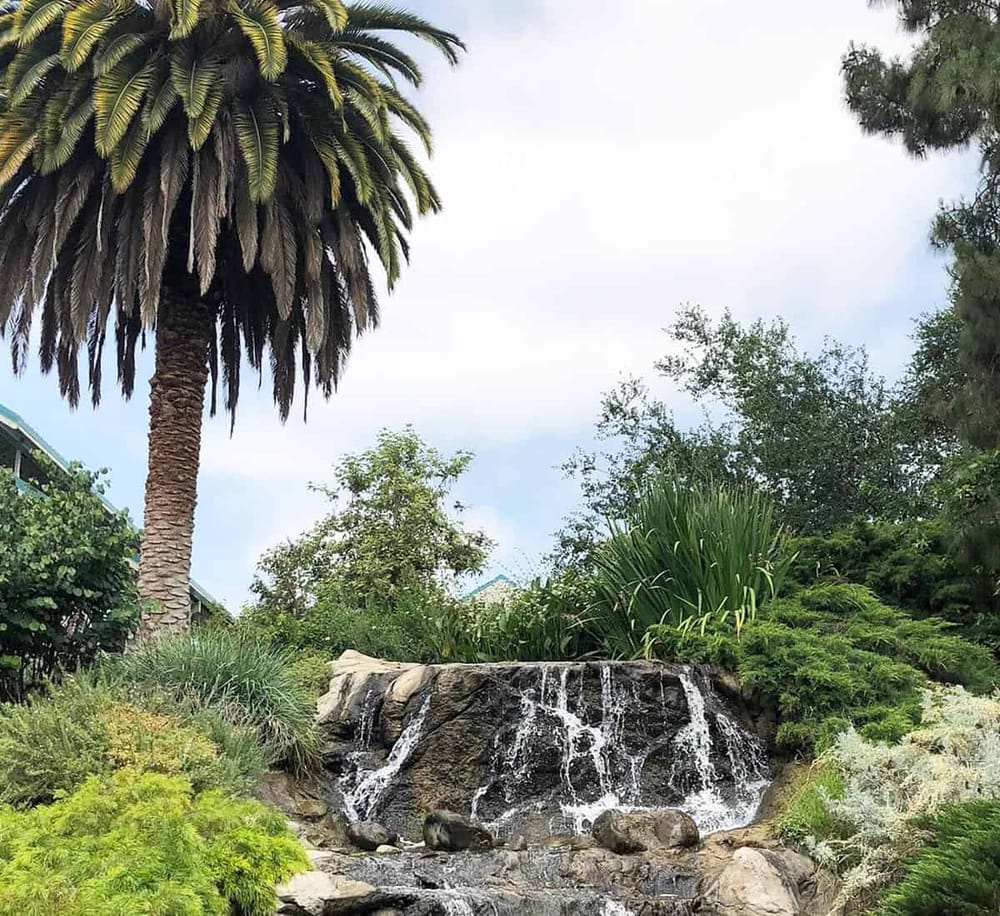 Lush tropical garden with waterfall, palm trees, and diverse green foliage, ideal for outdoor navigation and scenic exploration.
