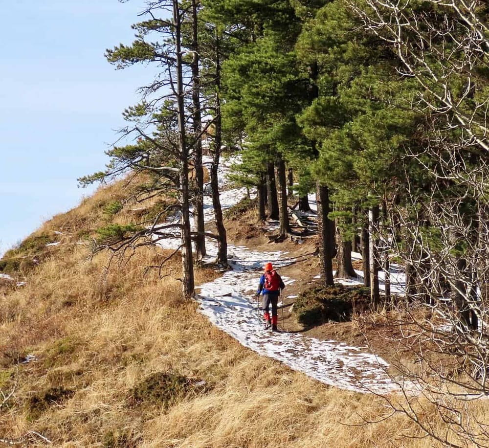 Hiker walking on mountain trail with trees and snow, outdoor adventure, exploration, nature hike.
