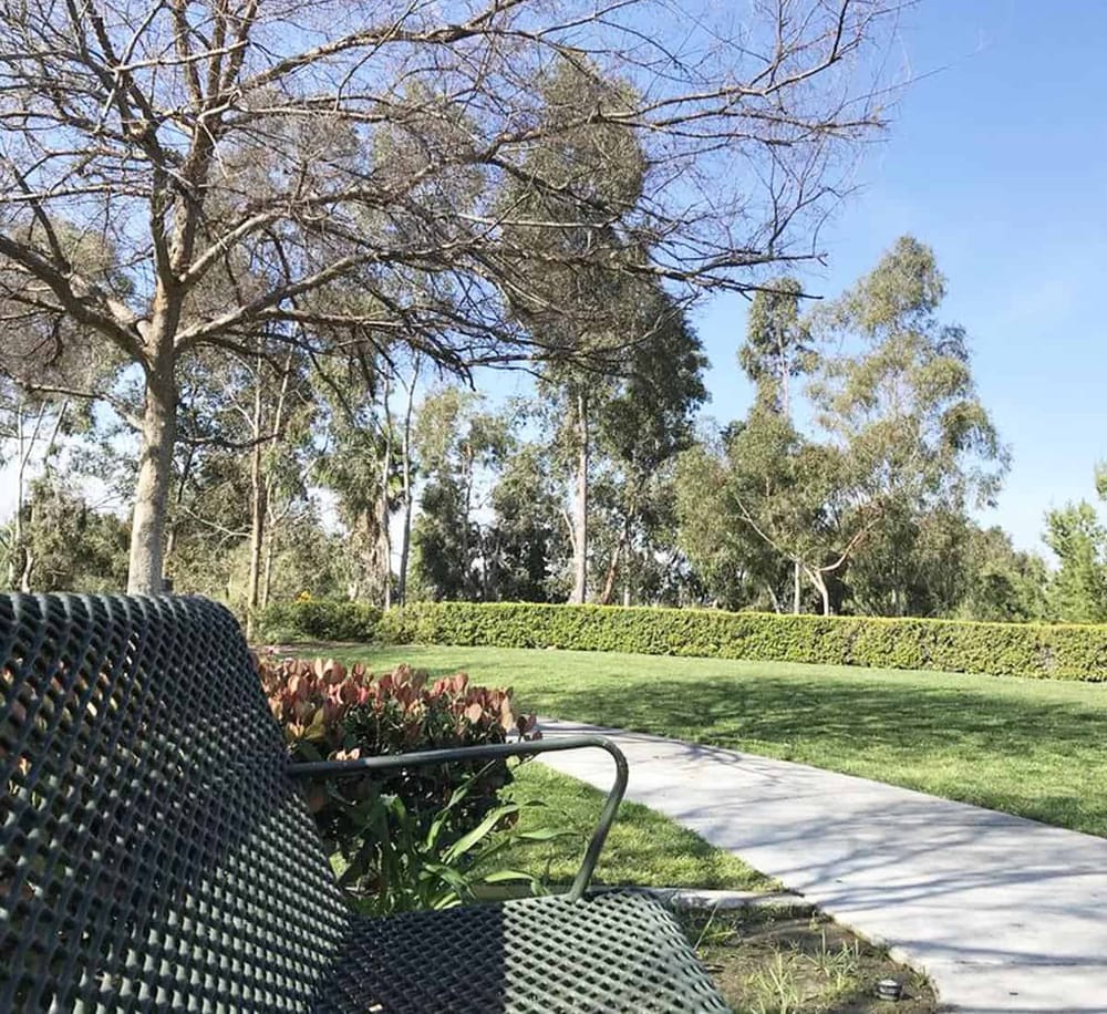 Tranquil park setting with walking path, trees, and bench for relaxation and outdoor activities.